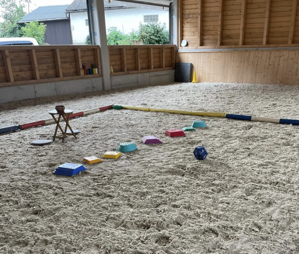 FEBS Halle