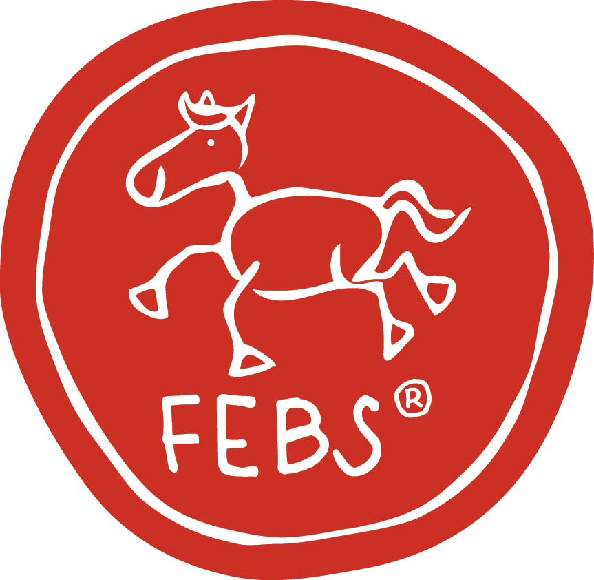 FEBS Reitpädagogik