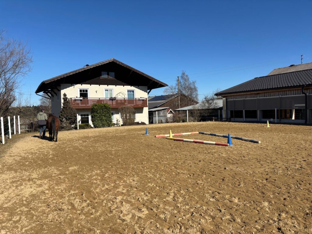 Coaching mit Pferd