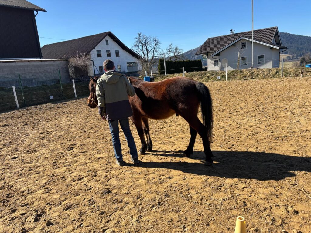 Coaching und Pferd Priesi