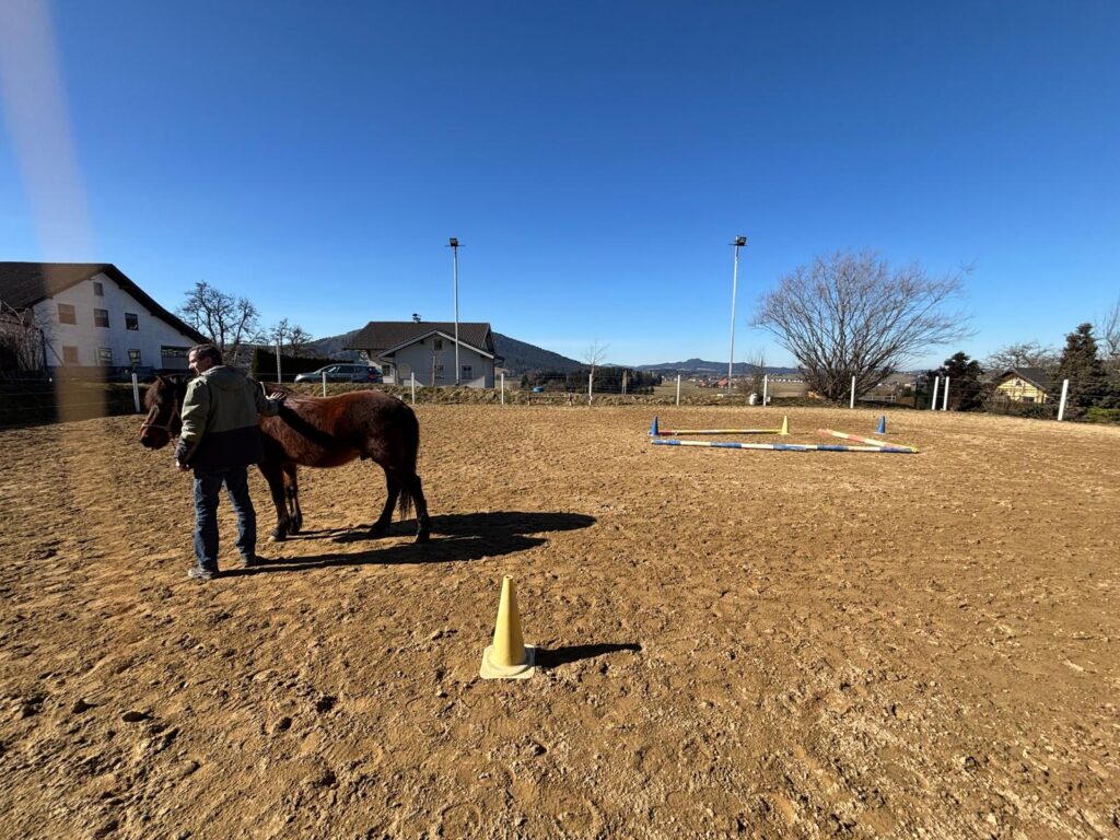 Coaching und die Nähe zum Pferd spüren