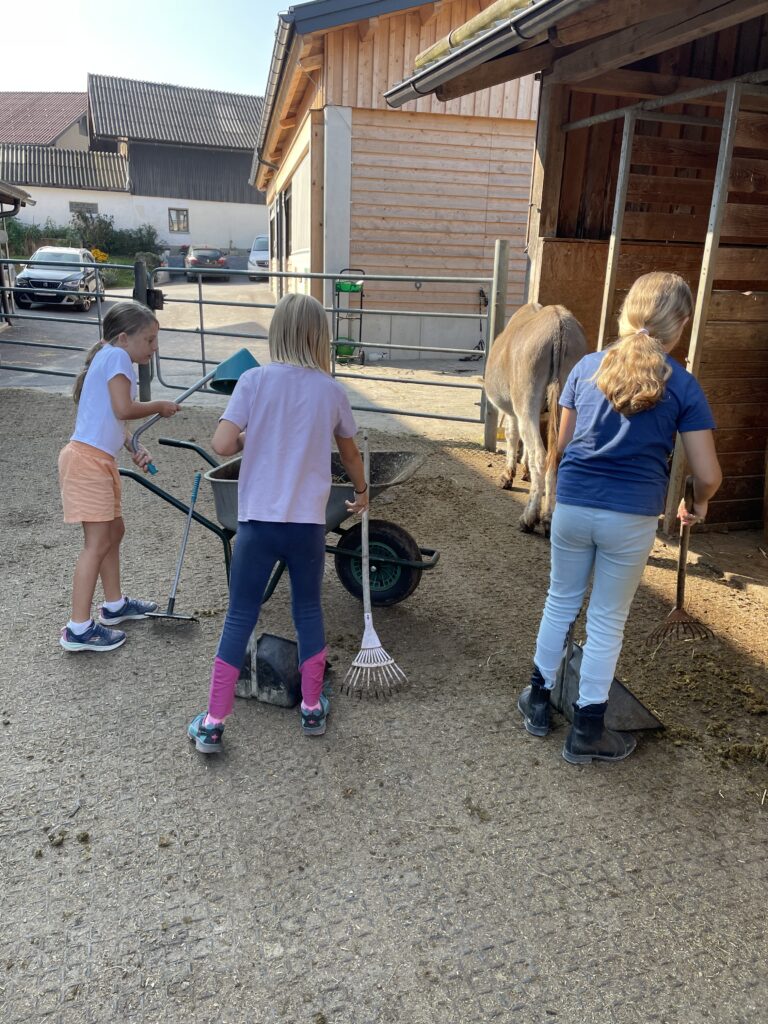 Kinder beim Ausmisten