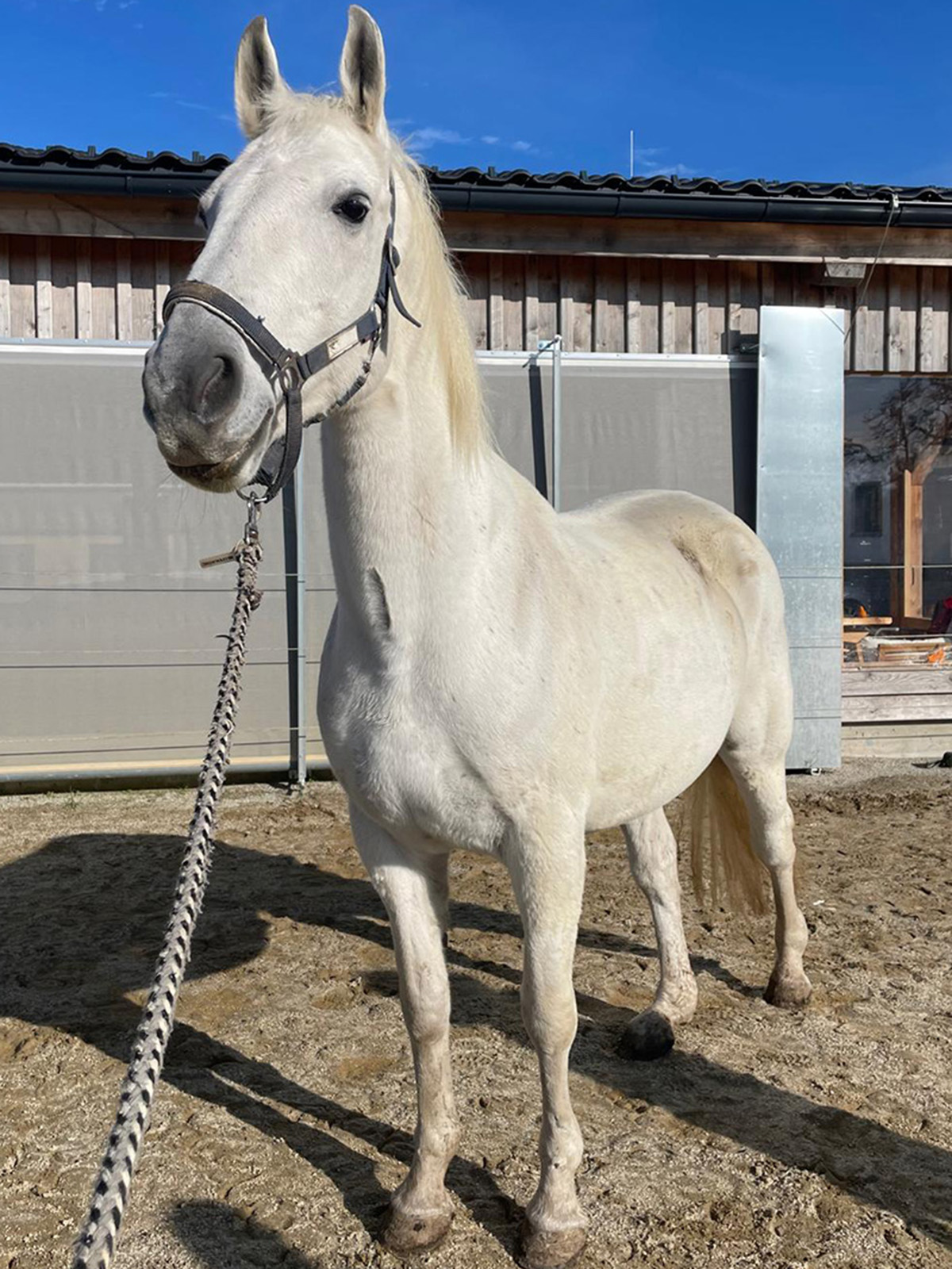 andrassa_hoch_scaled