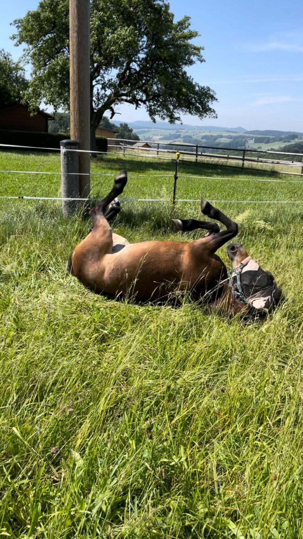 Instagram post from thomayerhof. This post is in position 0.
