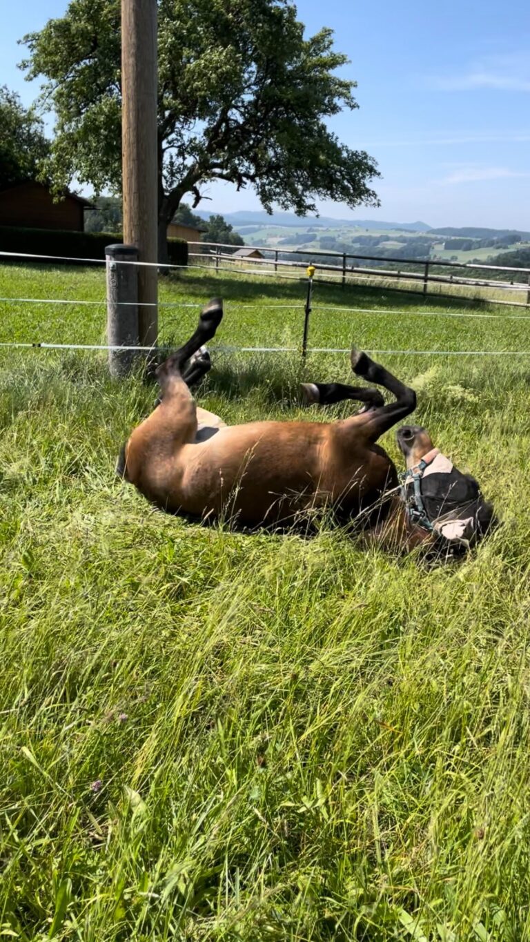 Instagram post from thomayerhof. This post is in position 1.