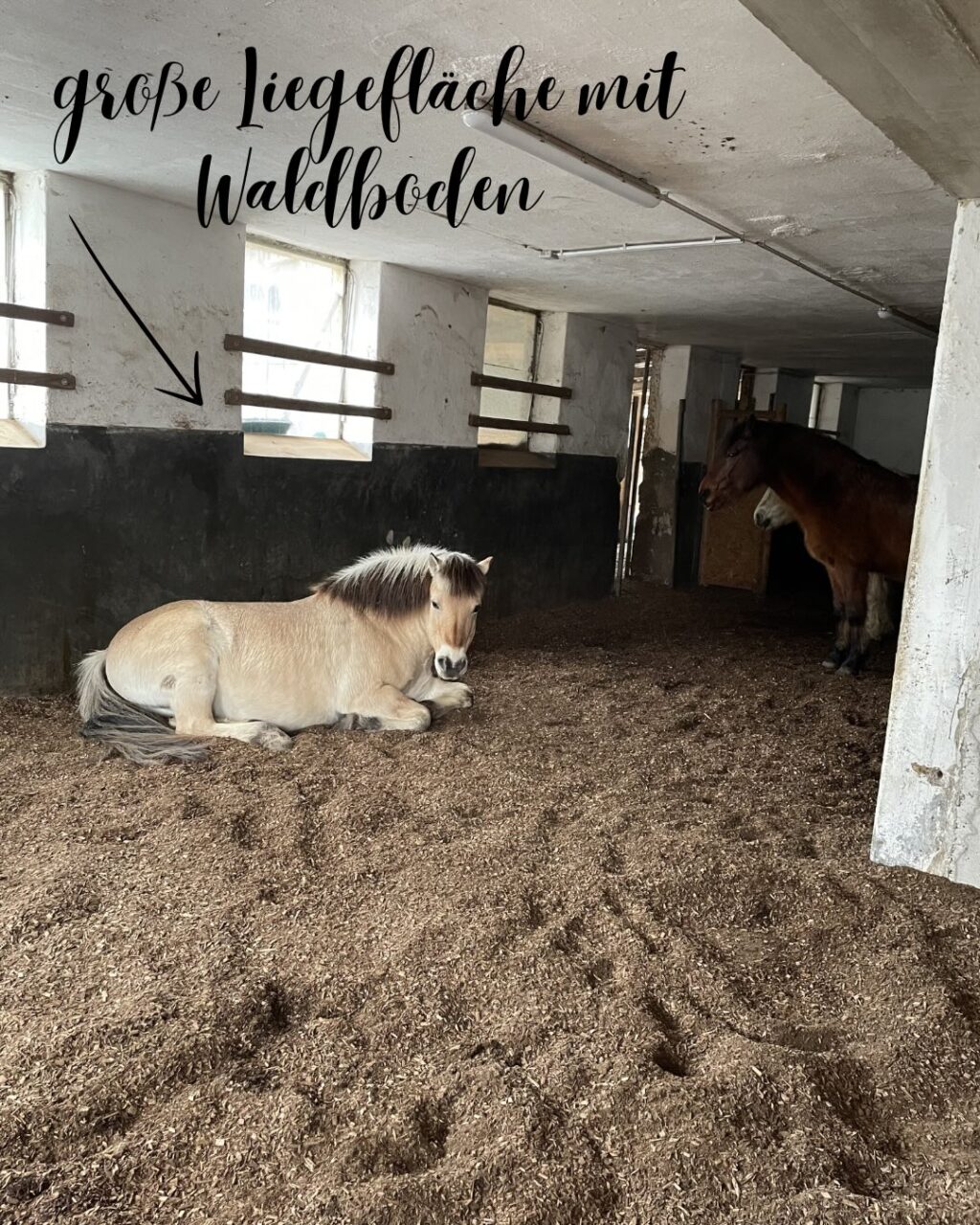 Instagram post from thomayerhof. This post is in position 4.