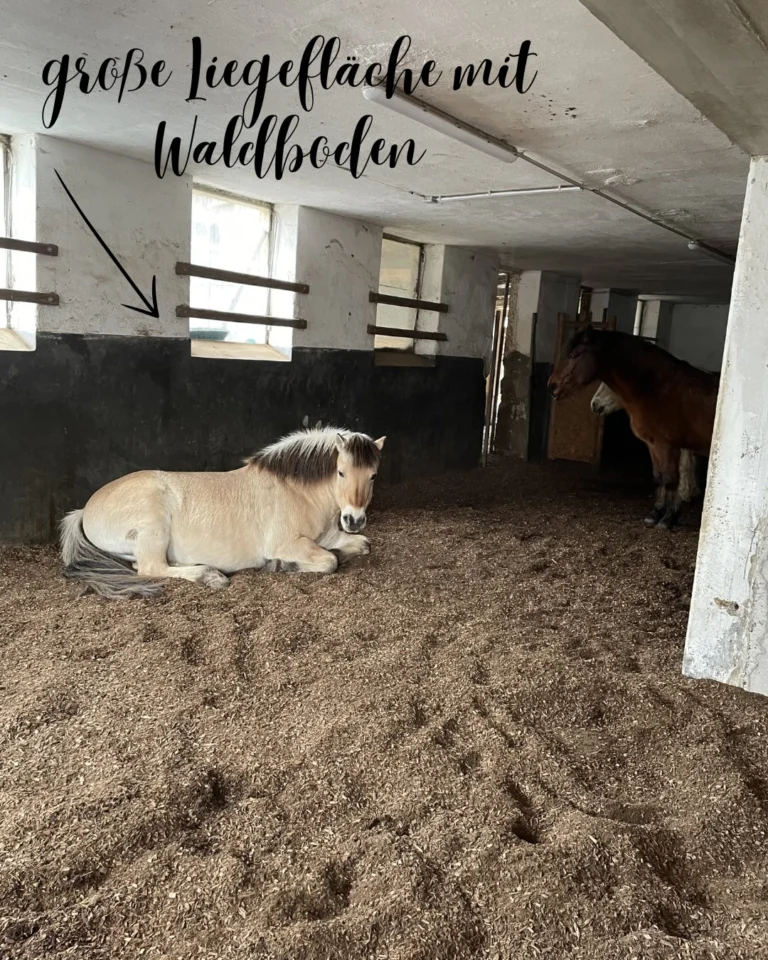 Instagram post from thomayerhof. This post is in position 4.