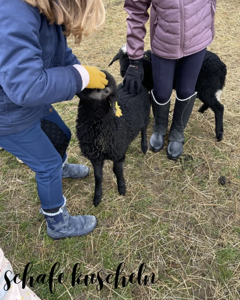 Instagram post from thomayerhof. This post is in position 6.