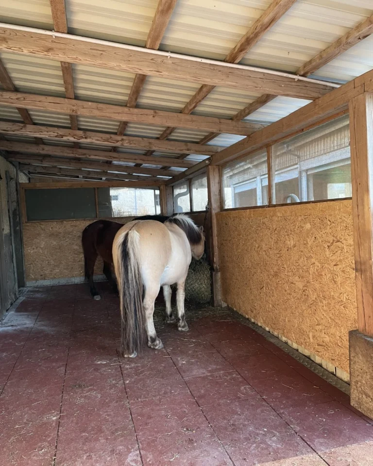 Instagram post from thomayerhof. This post is in position 7.