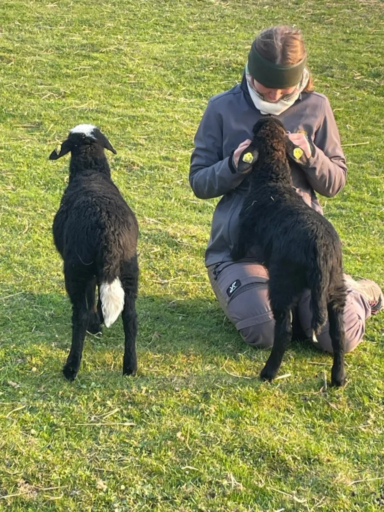 Instagram post from thomayerhof. This post is in position 3.