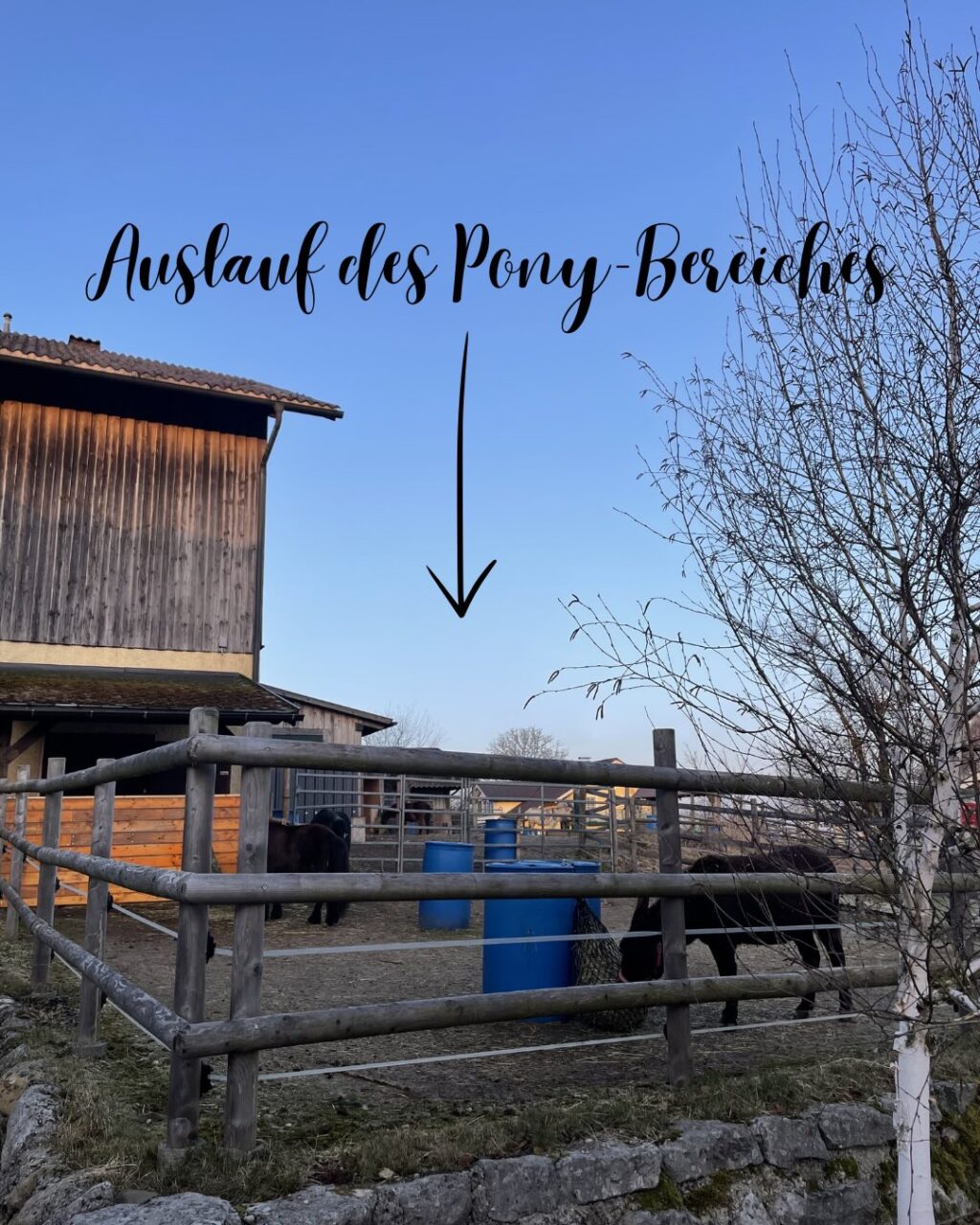 Instagram post from thomayerhof. This post is in position 11.