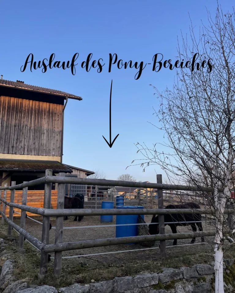 Instagram post from thomayerhof. This post is in position 11.