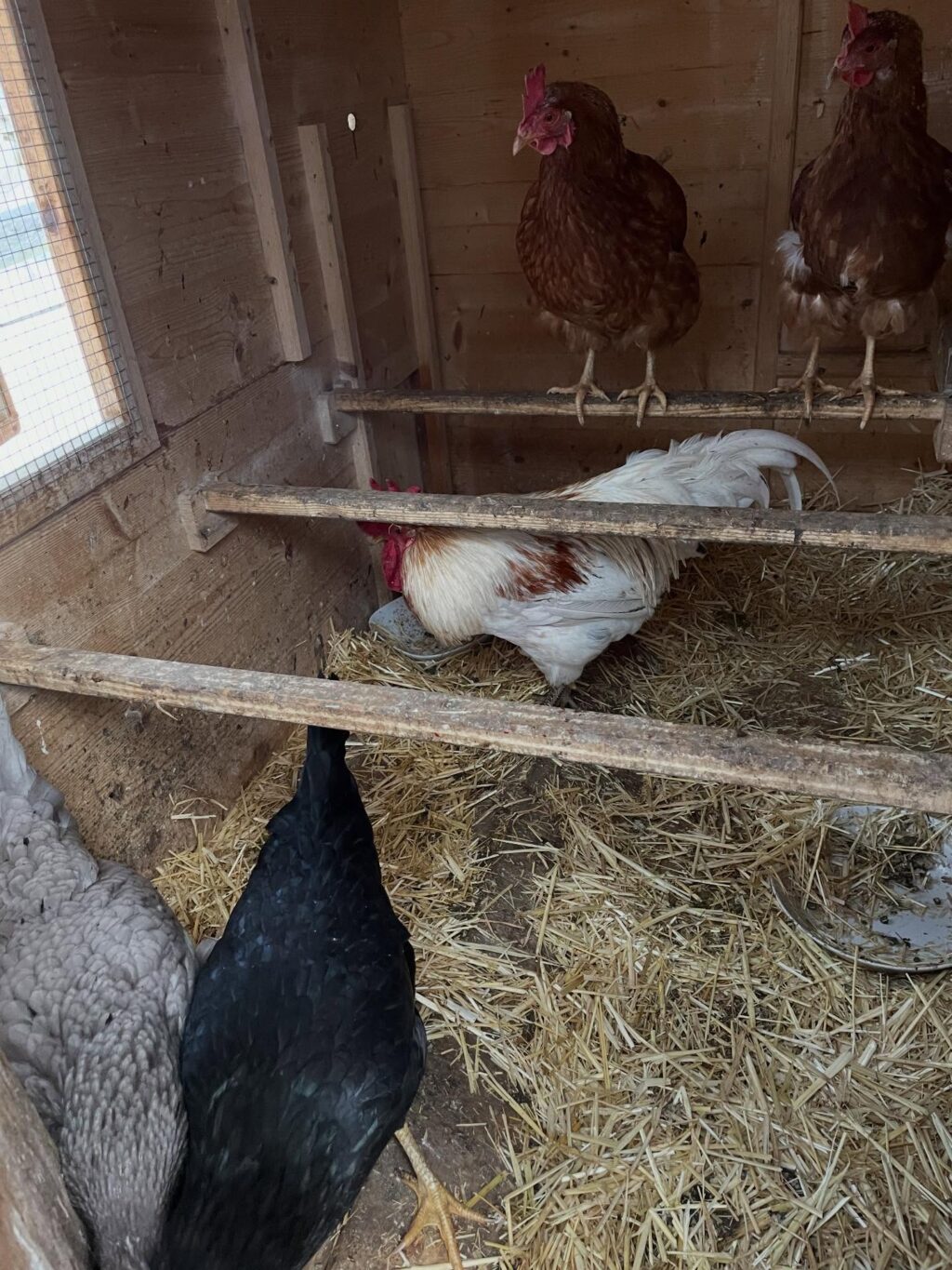 Instagram post from thomayerhof. This post is in position 2.