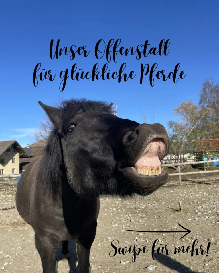 Instagram post from thomayerhof. This post is in position 0.