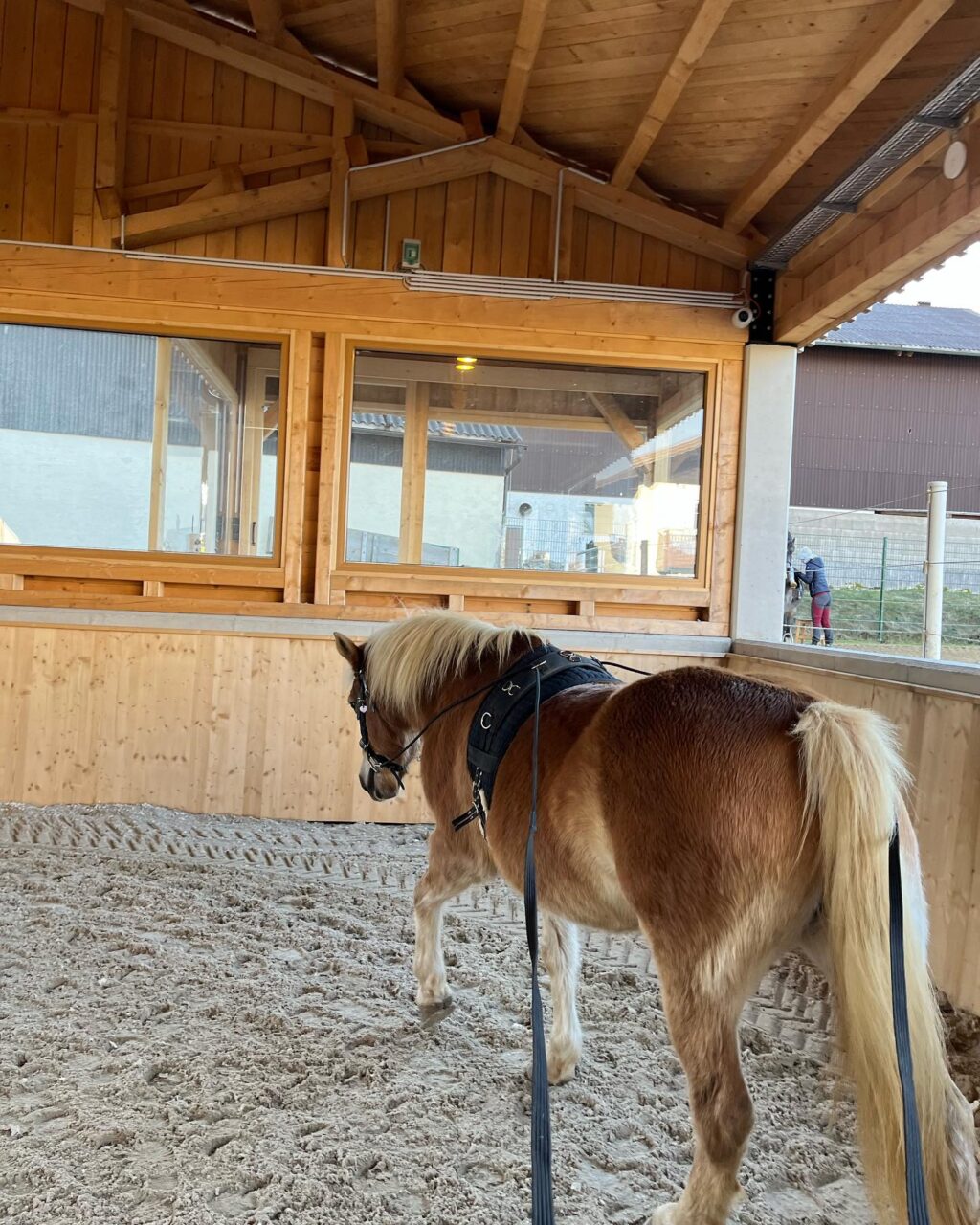 Instagram post from thomayerhof. This post is in position 1.