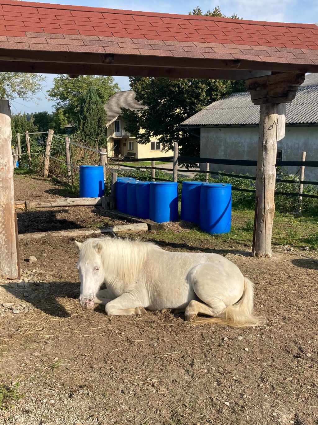 Instagram post from thomayerhof. This post is in position 13.