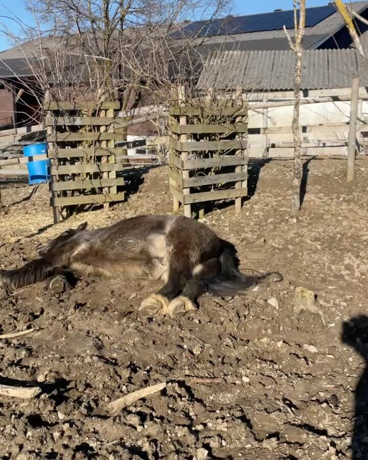 Instagram post from thomayerhof. This post is in position 2.