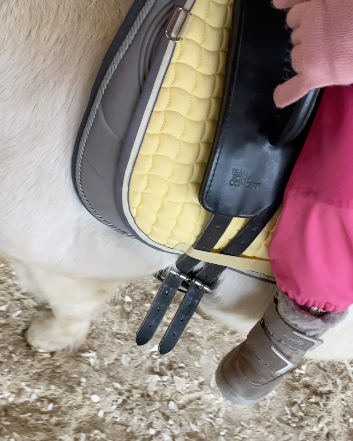 Instagram post from thomayerhof. This post is in position 2.