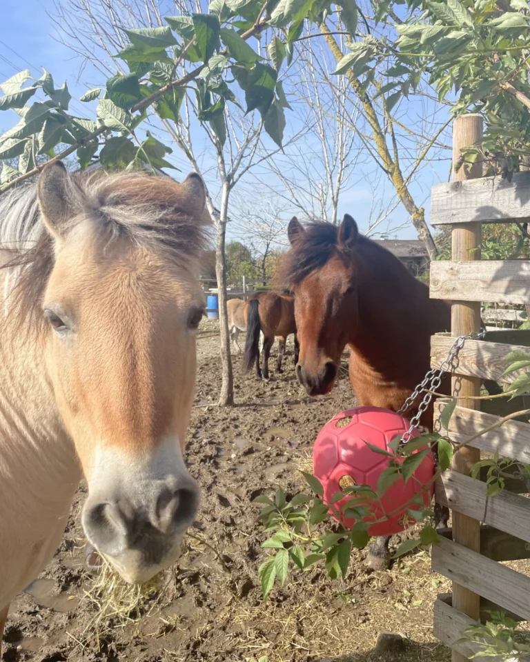 Instagram post from thomayerhof. This post is in position 3.