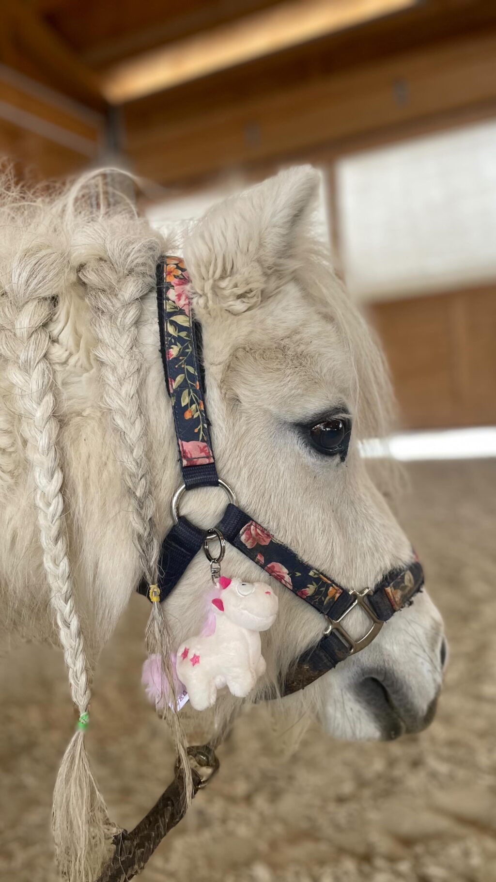 Instagram post from thomayerhof. This post is in position 4.