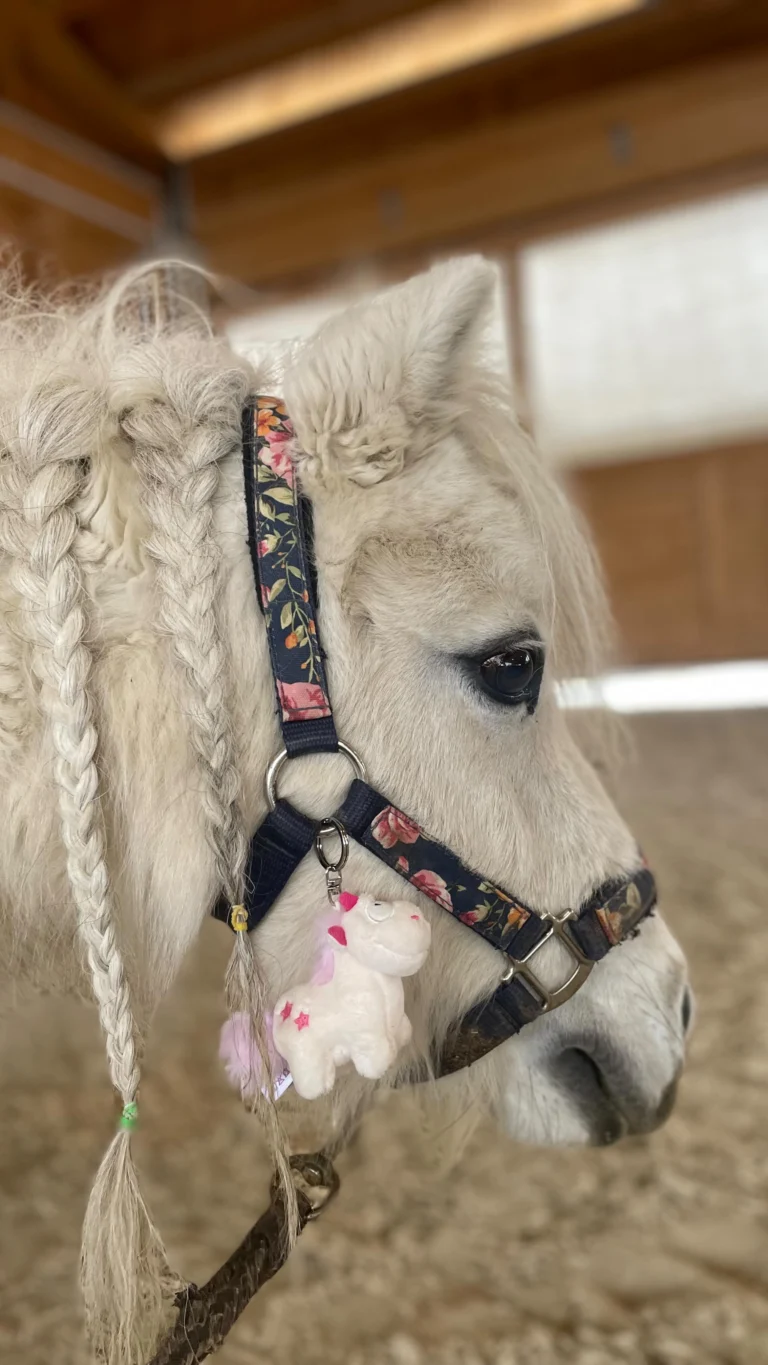 Instagram post from thomayerhof. This post is in position 9.