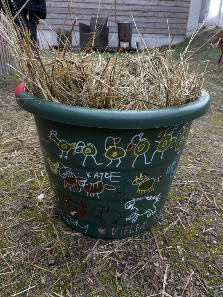 Instagram post from thomayerhof. This post is in position 5.