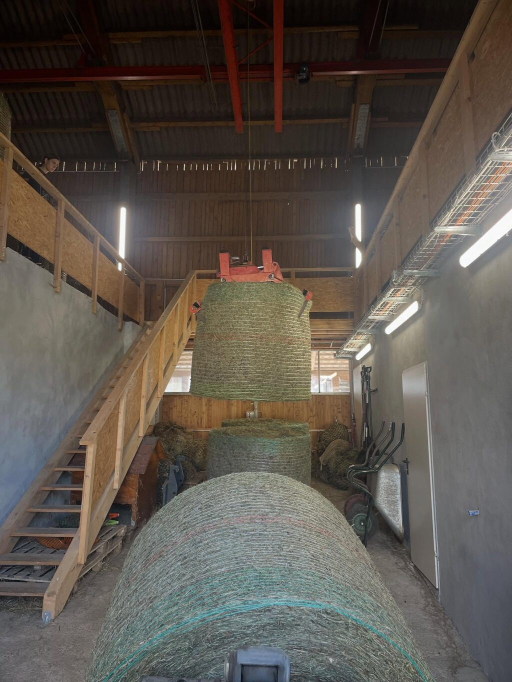 Instagram post from thomayerhof. This post is in position 8.