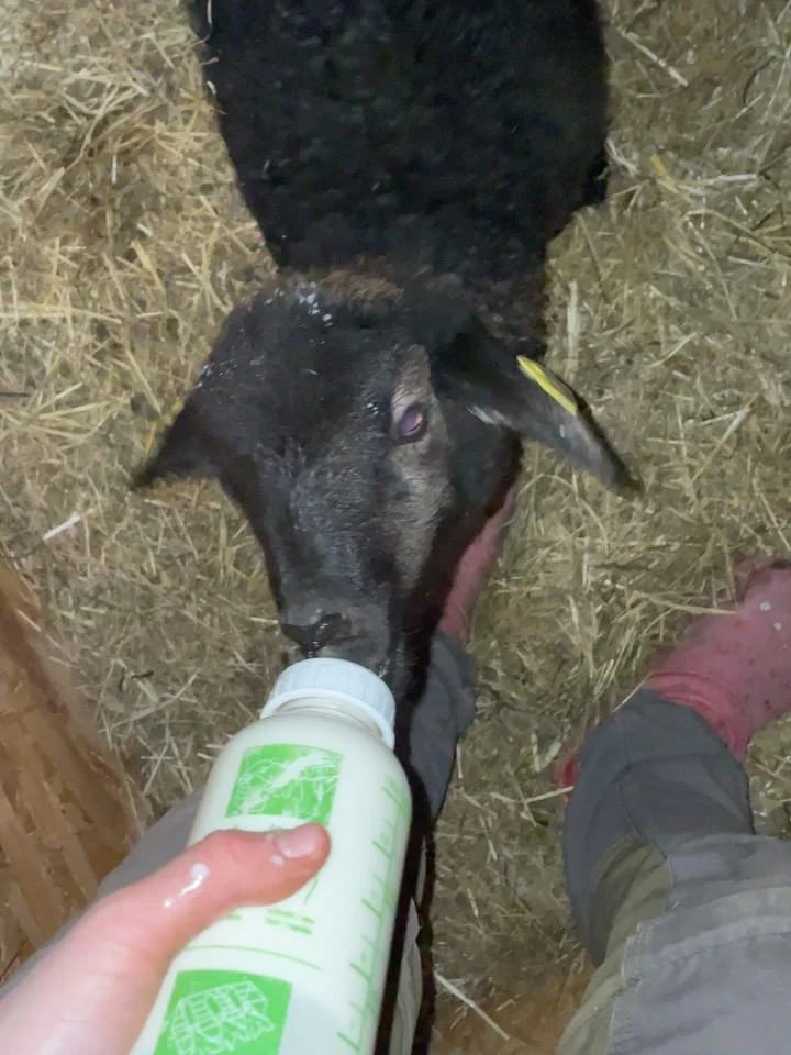 Instagram post from thomayerhof. This post is in position 6.