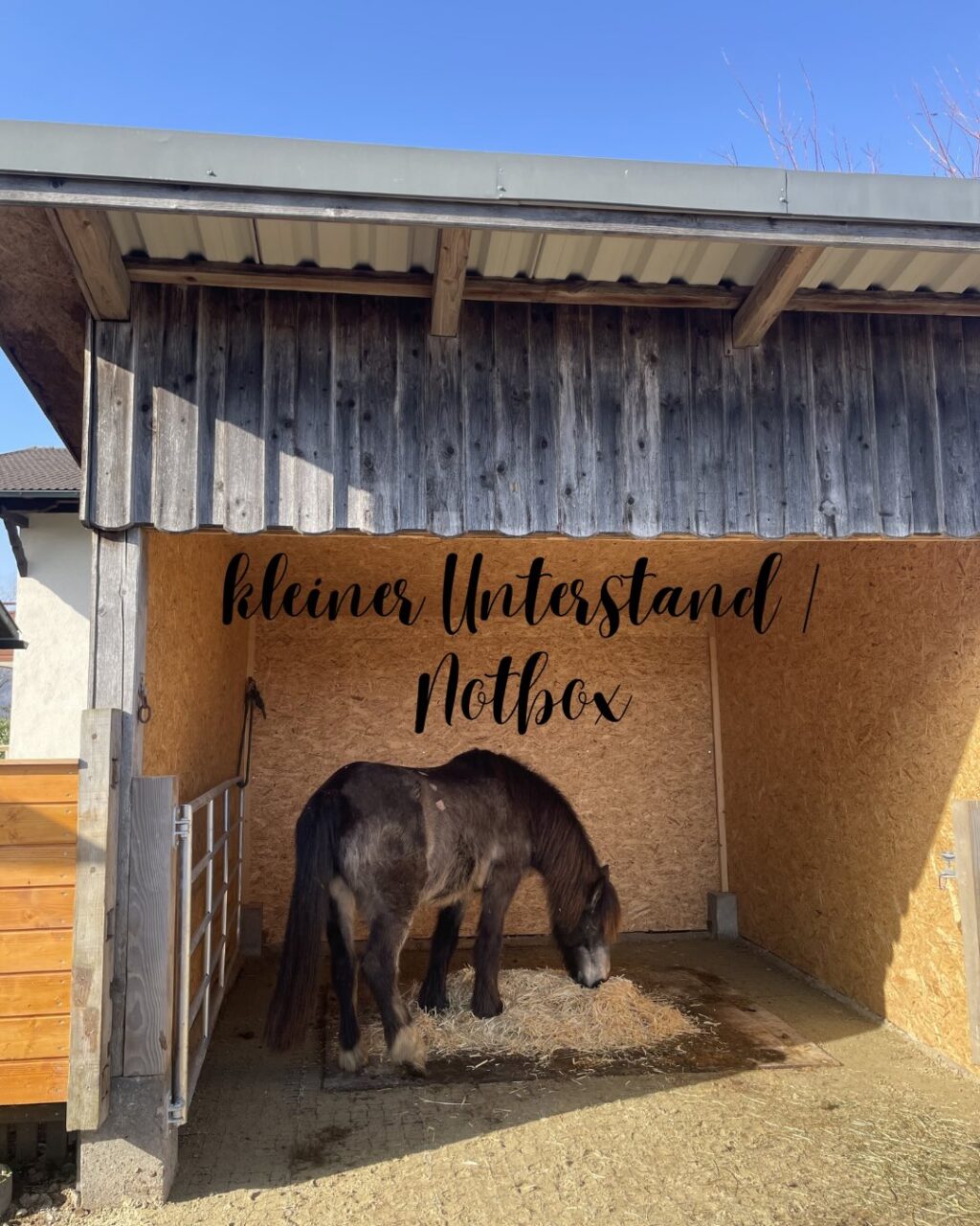 Instagram post from thomayerhof. This post is in position 9.