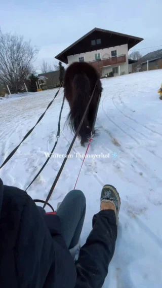 Instagram post from thomayerhof. This post is in position 13.