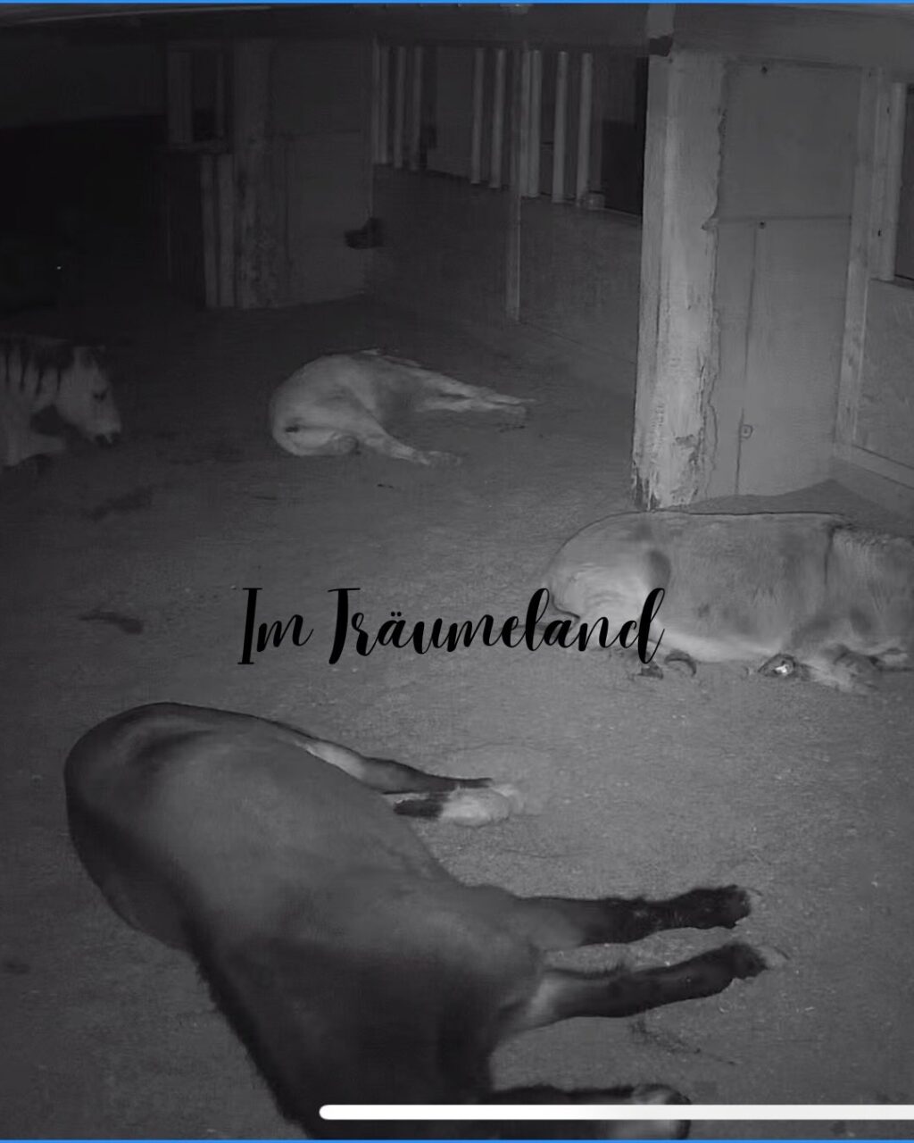 Instagram post from thomayerhof. This post is in position 5.