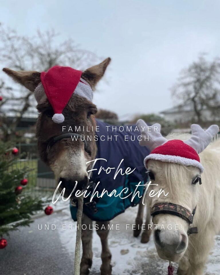 Instagram post from thomayerhof. This post is in position 4.