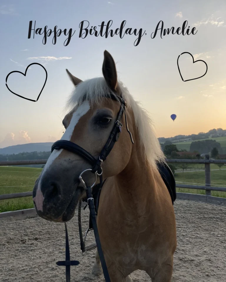 Instagram post from thomayerhof. This post is in position 3.