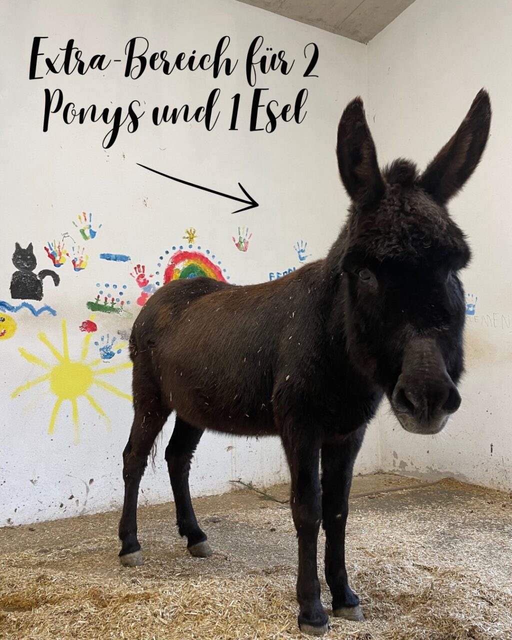 Instagram post from thomayerhof. This post is in position 10.